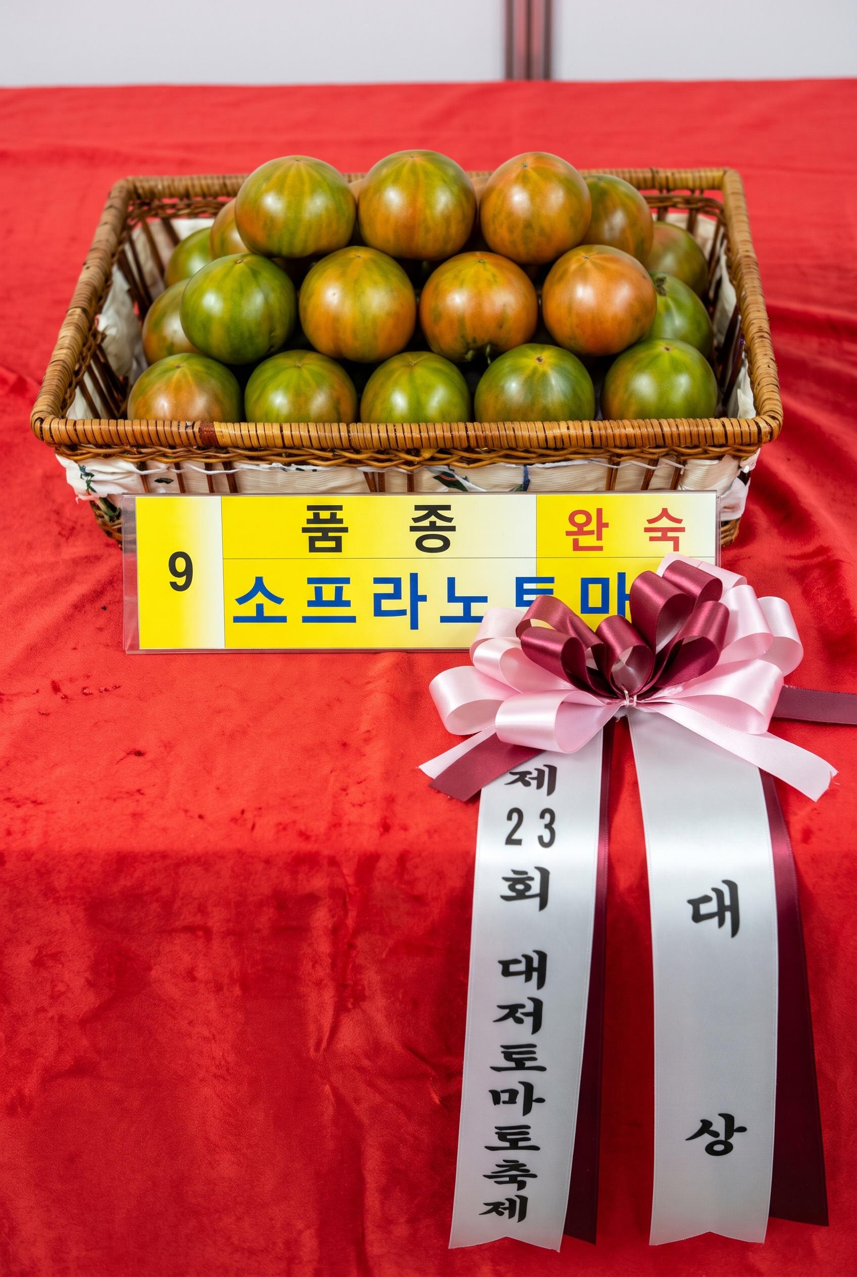 품평회에 출품한 완숙 소프라노 토마토